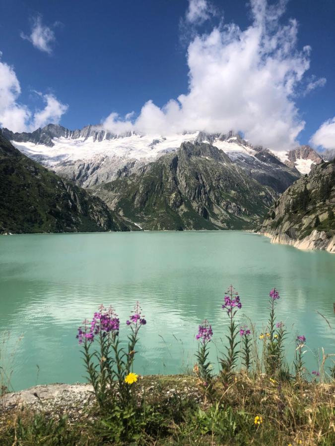 شقة Alpine Haus غوشينن المظهر الخارجي الصورة